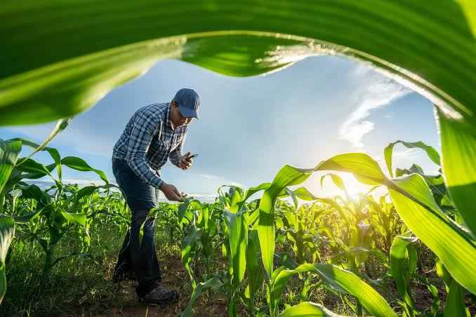 Agricultural and allied sector development initiatives